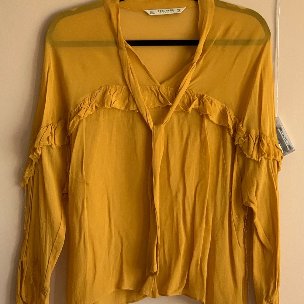 ZARA Chiffon Top